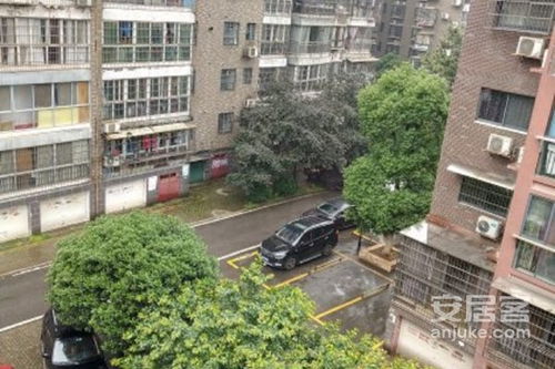 株洲顺鑫佳园深度解析 优点、不足与周边房产经纪评价